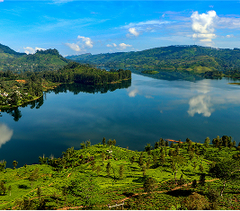 Mountain view