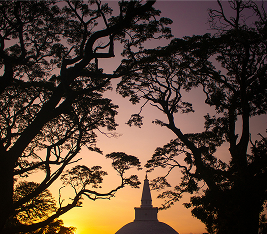 Temple view